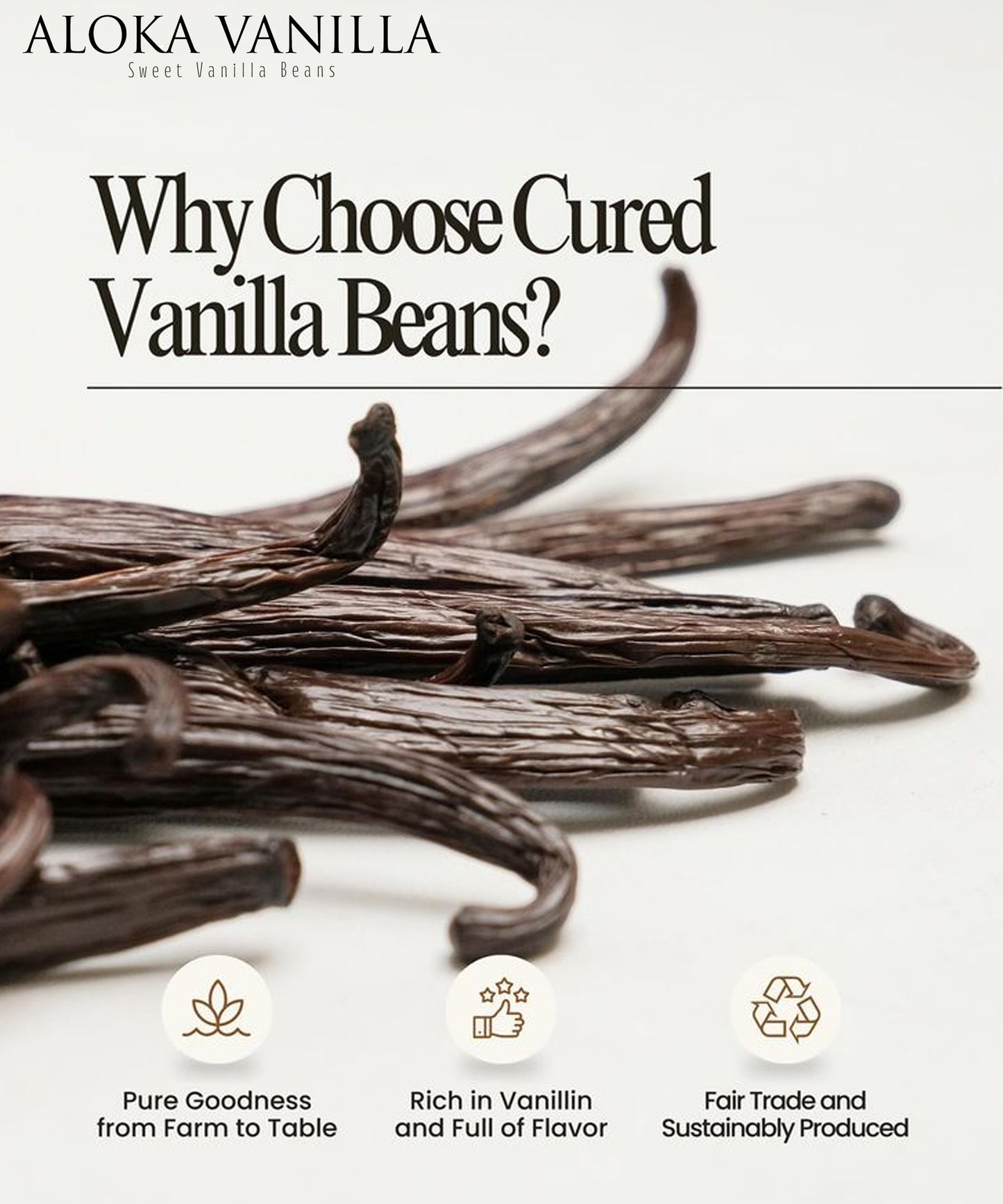 Grade A Madagascar Vanilla Beans